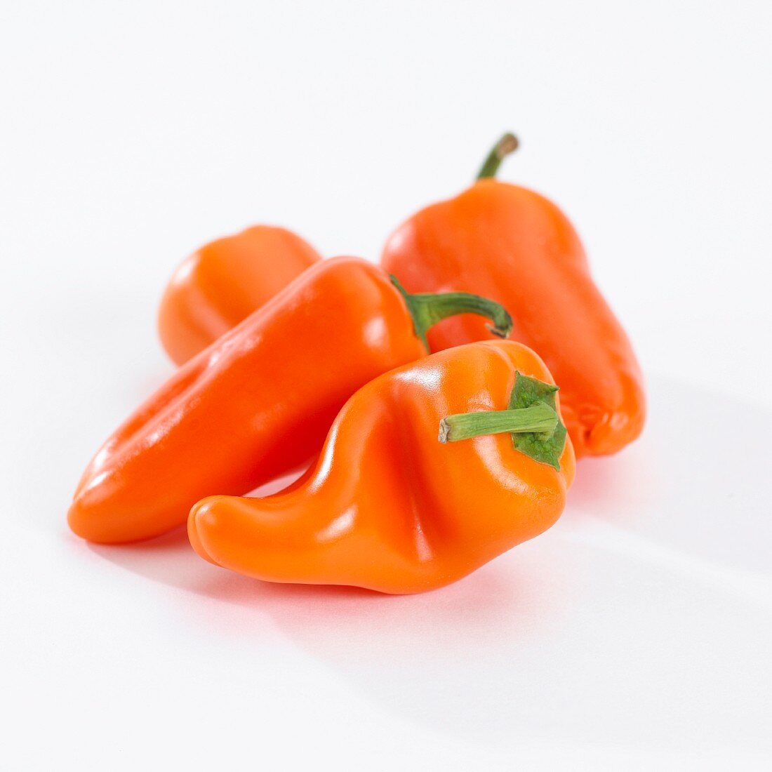 Four orange chilli peppers (capsicum annuum)