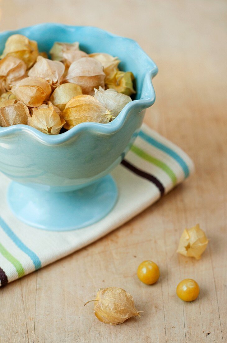 Husk Cherries (Ground Cherries) from Thirty Acre Farm in Whitefield, Maine