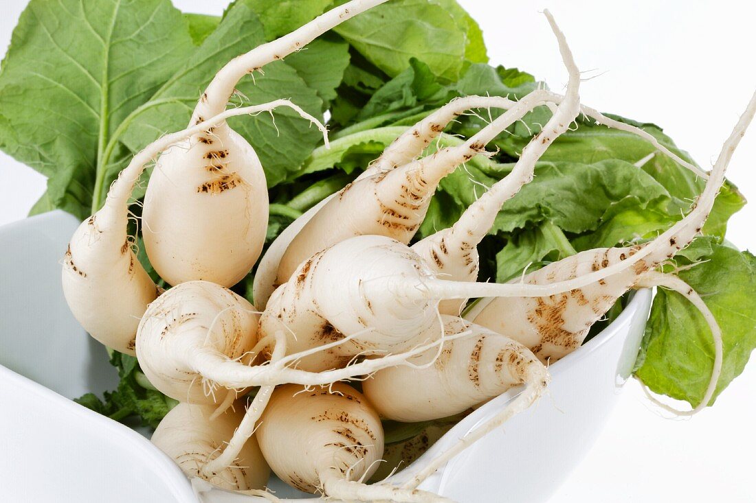 A bunch of white radishes