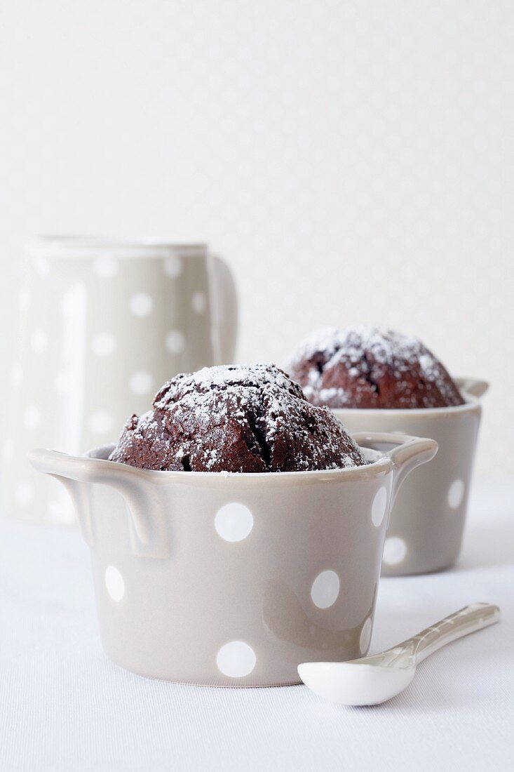 Chocolate muffins in spotted baking tins