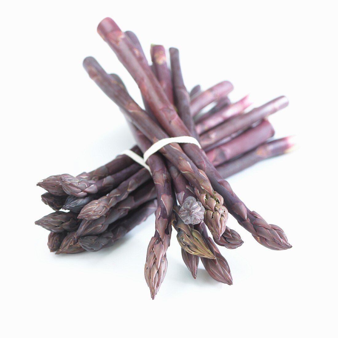Two bunches of purple asparagus (Asparagus Pacific Purple)