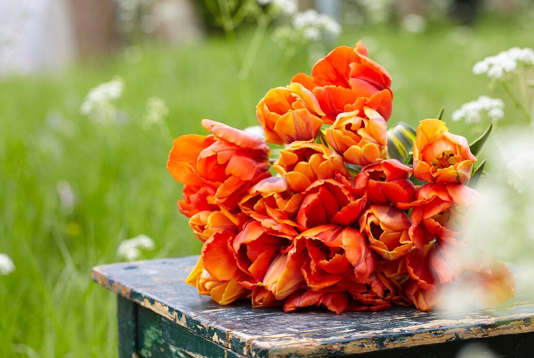 A bunch of orange tulips in a vase on a table in a garden