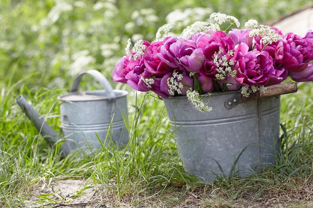 A bunch of pink tulips in a zinc bucket in a garden