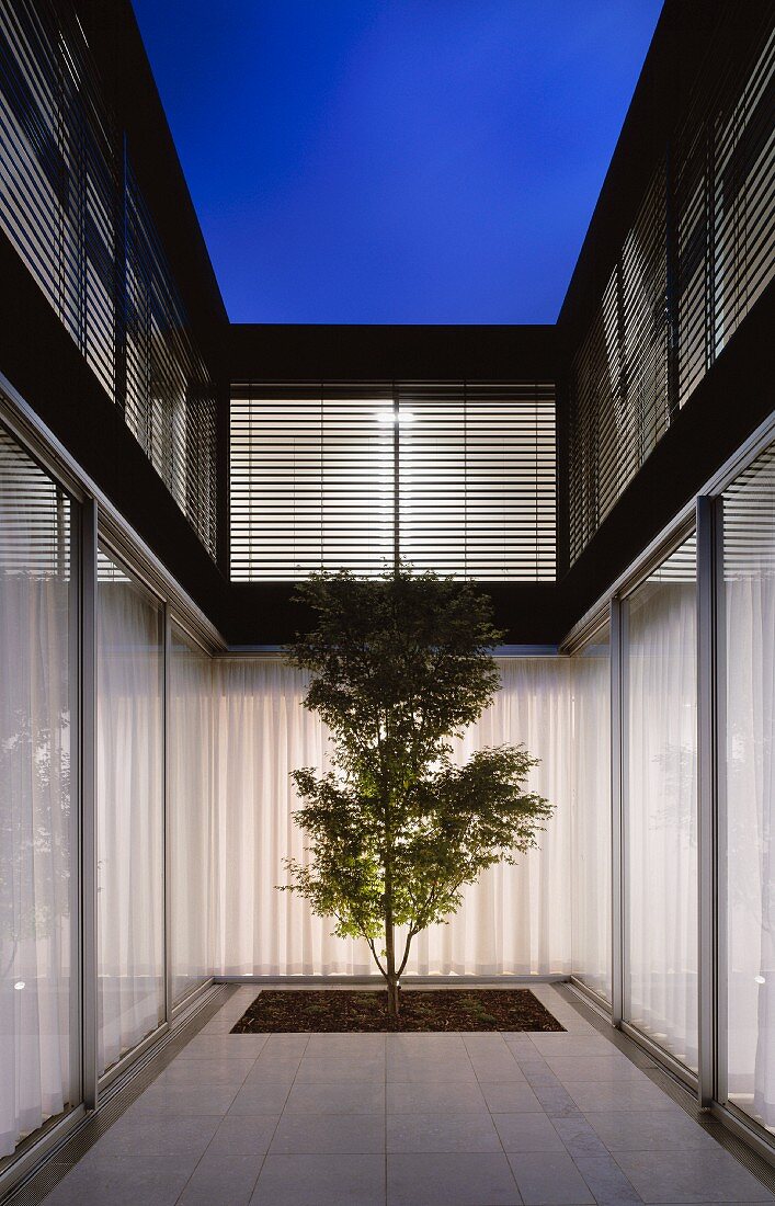Modern courtyard design -- a single tree in the evening light and closed curtains at the terrace windows