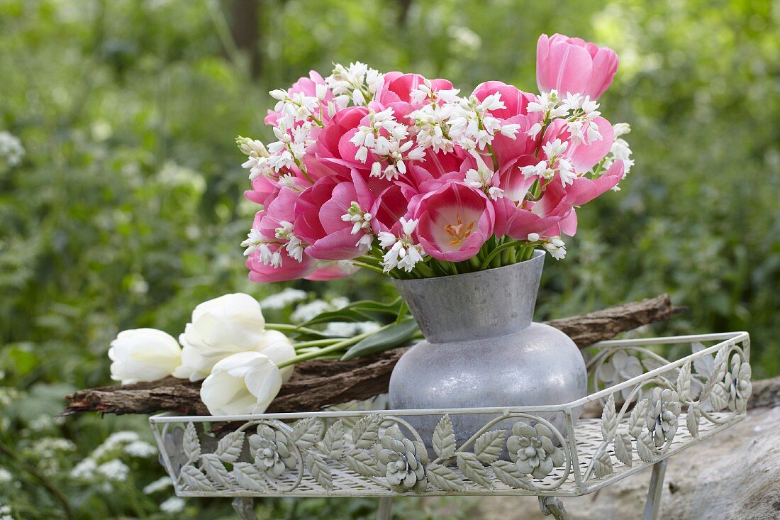 A bunch of pink tulips (Tulipa Sauterness) in a vase