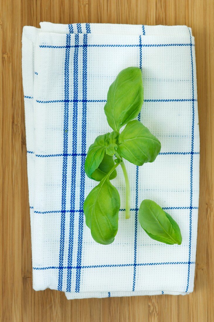 Basil leaves on a tea towel
