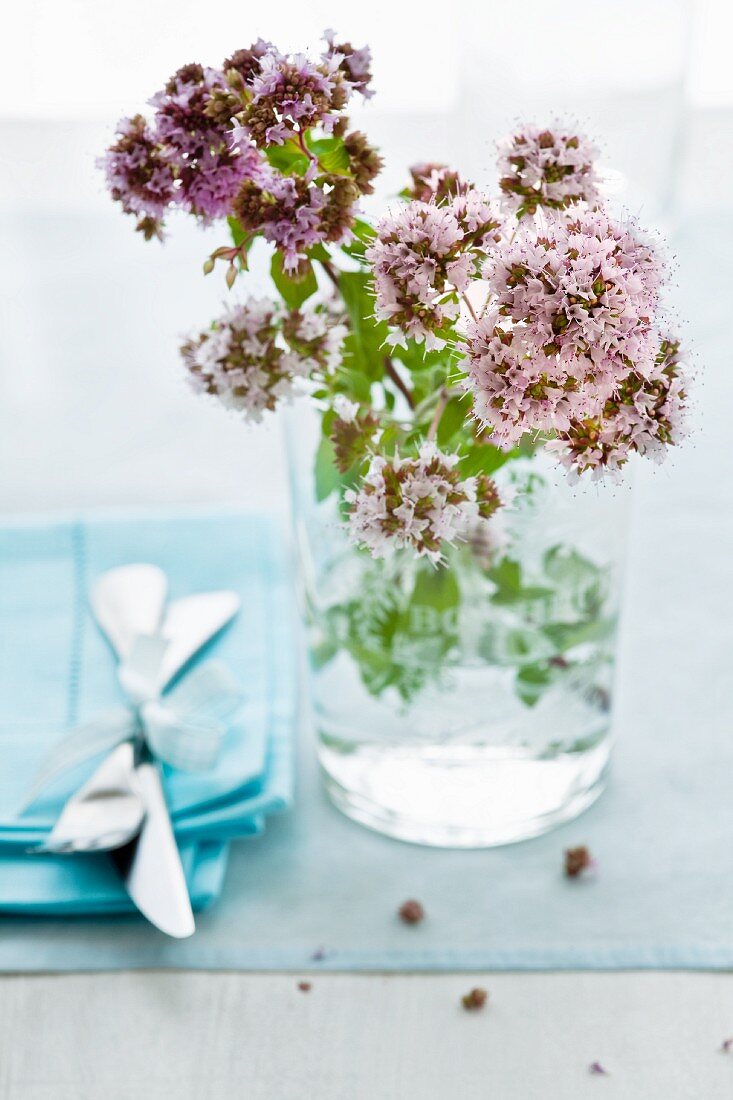 Blühender Oregano im Glas