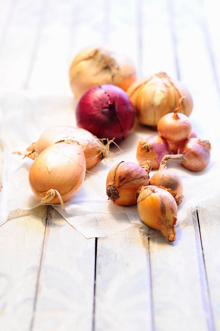 An arrangement of various onions