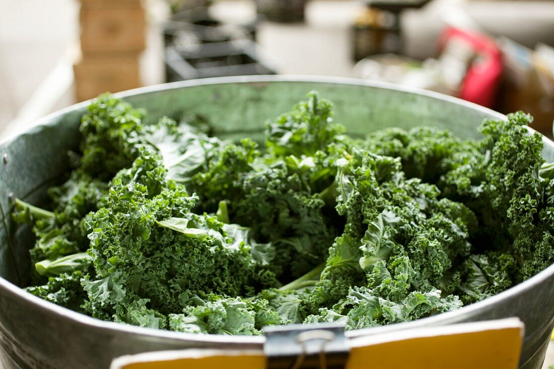 Fresh Kale at a Farmer's Market in Baltimore