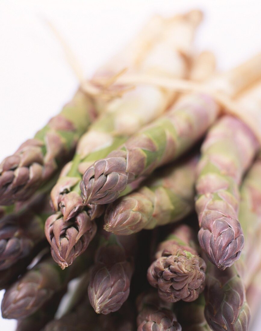 A bunch of purple asparagus (close-up)