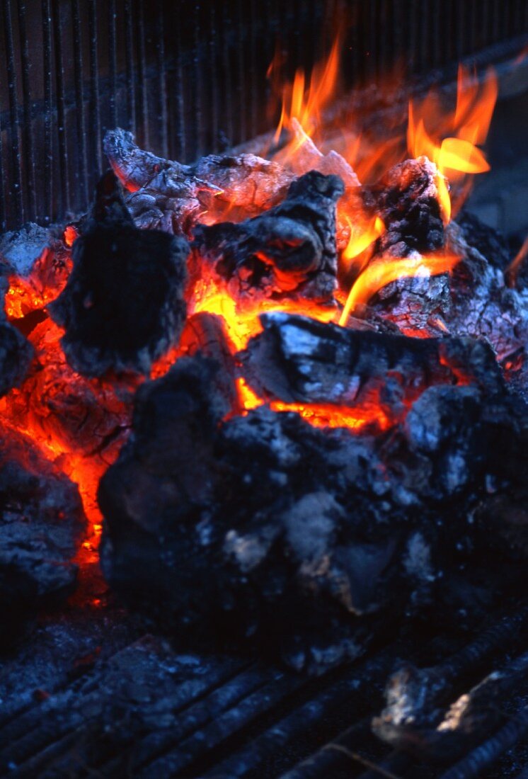 Brennende Holzkohle auf Grill