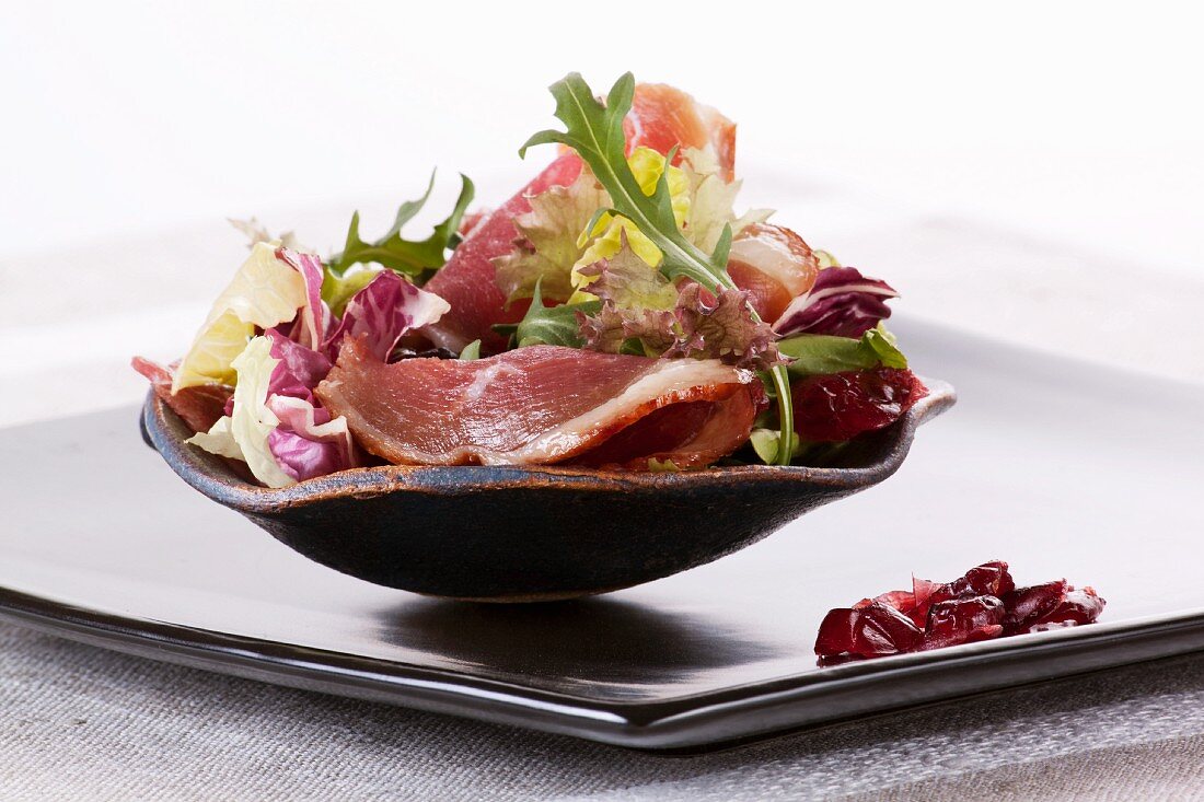 Mixed leaf salad with smoked goose breast and dried cranberries