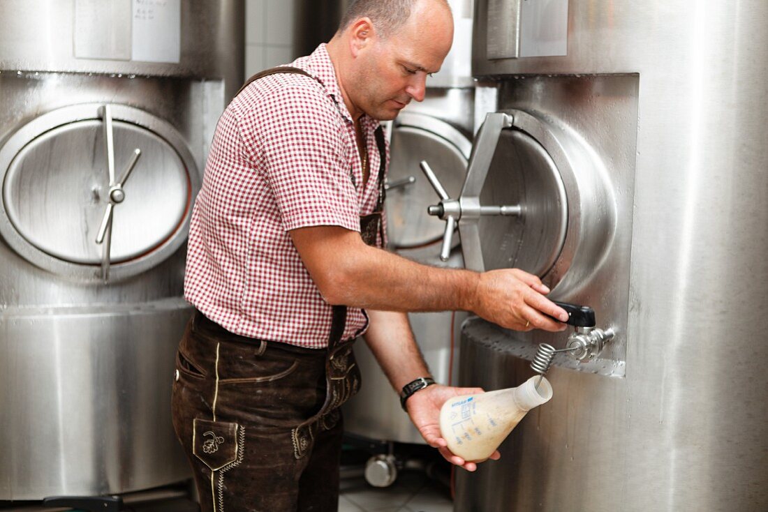 A brewer taking a sample of beer from a storage tank to measure the fermentation degree