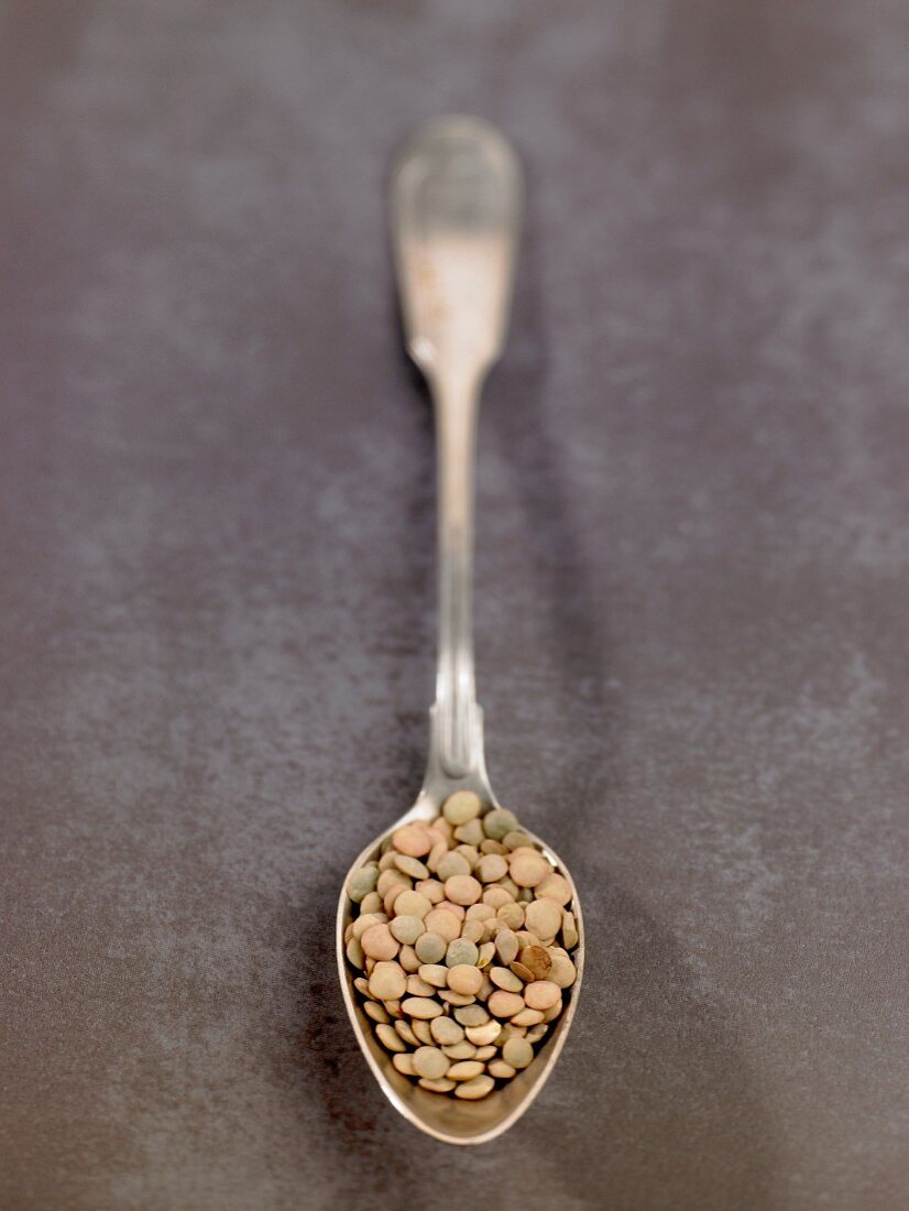 Laird lentils on a silver spoon