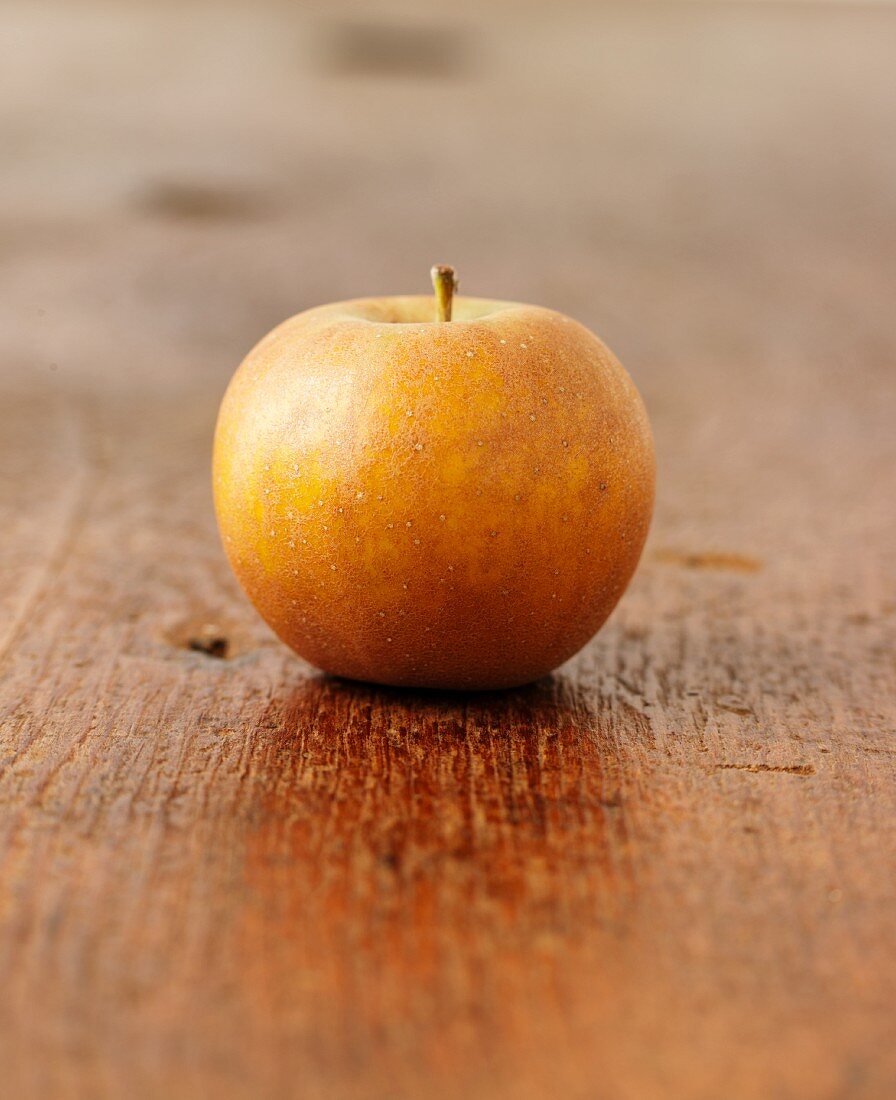 A Roxbury Russett apple