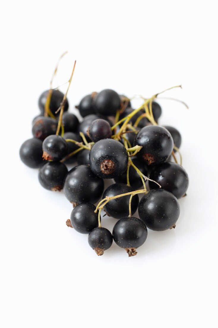 Schwarze Johannisbeeren