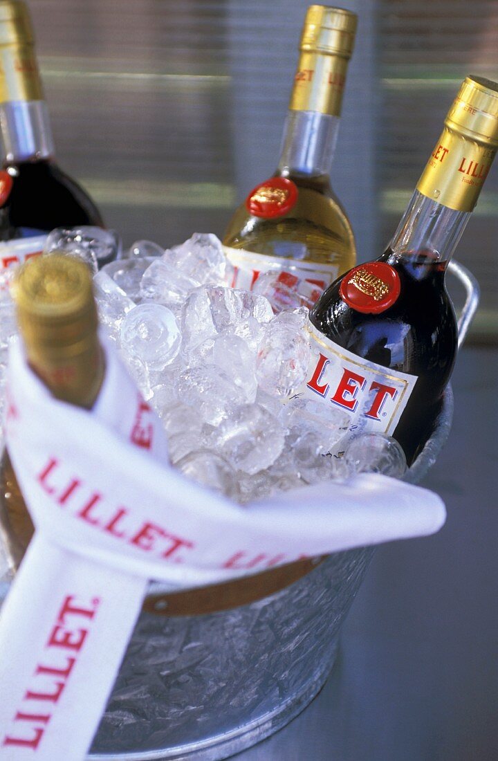 Various wine bottles in an ice bucket