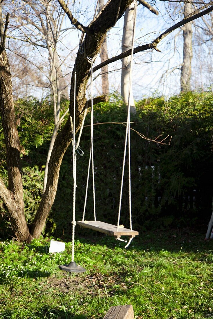 A swing in a garden