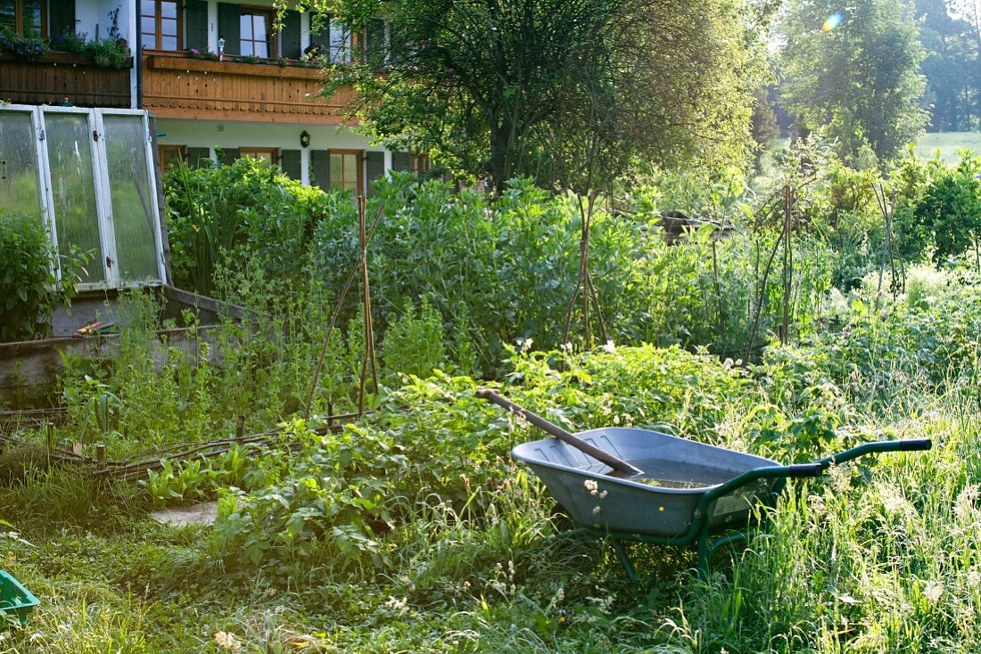 Schubkarre im Garten vor dem Haus