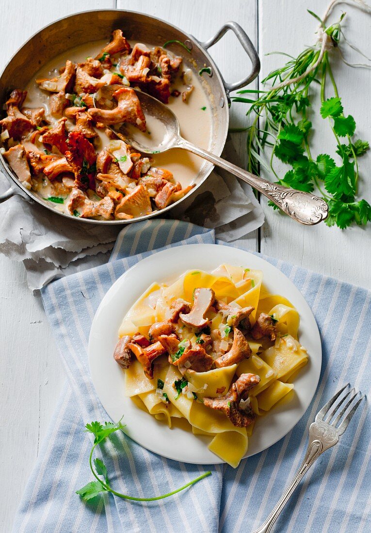 Pappardelle mit geschmorten Pfifferlingen