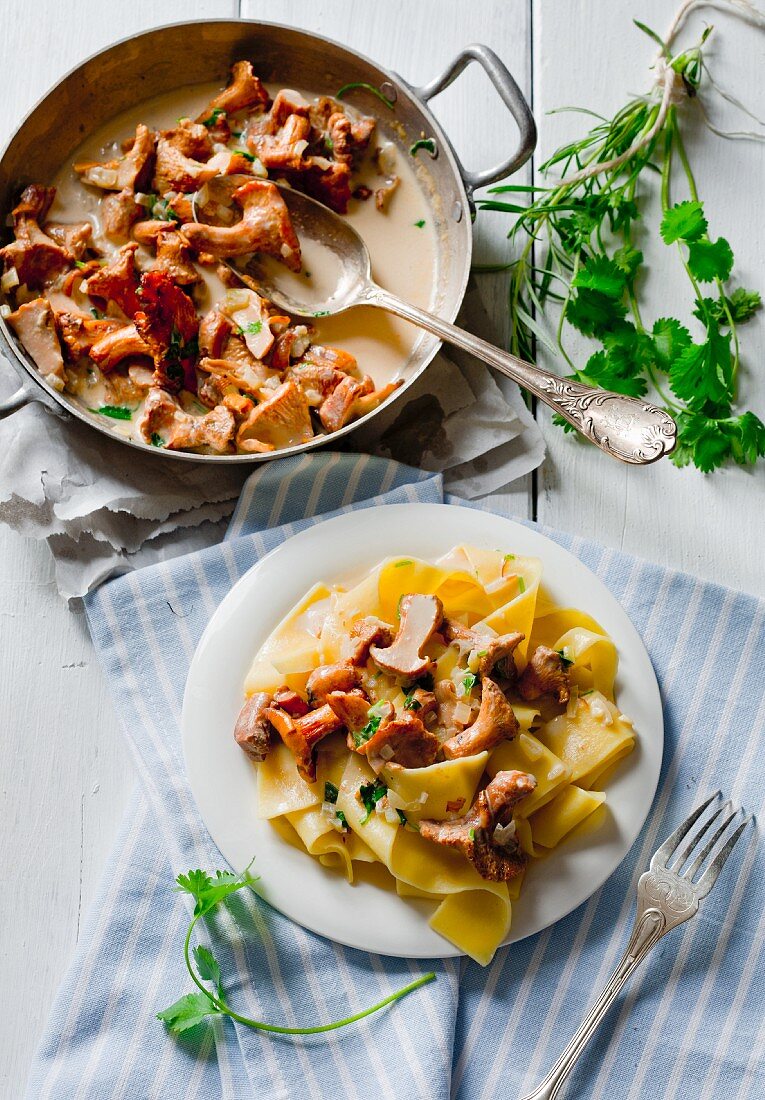 Pappardelle pasta with braised chanterelle mushrooms