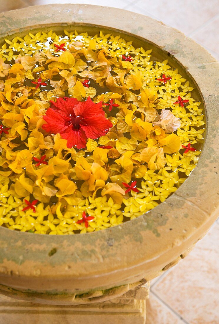 Yellow and red flowers floating on water in antique stone basin