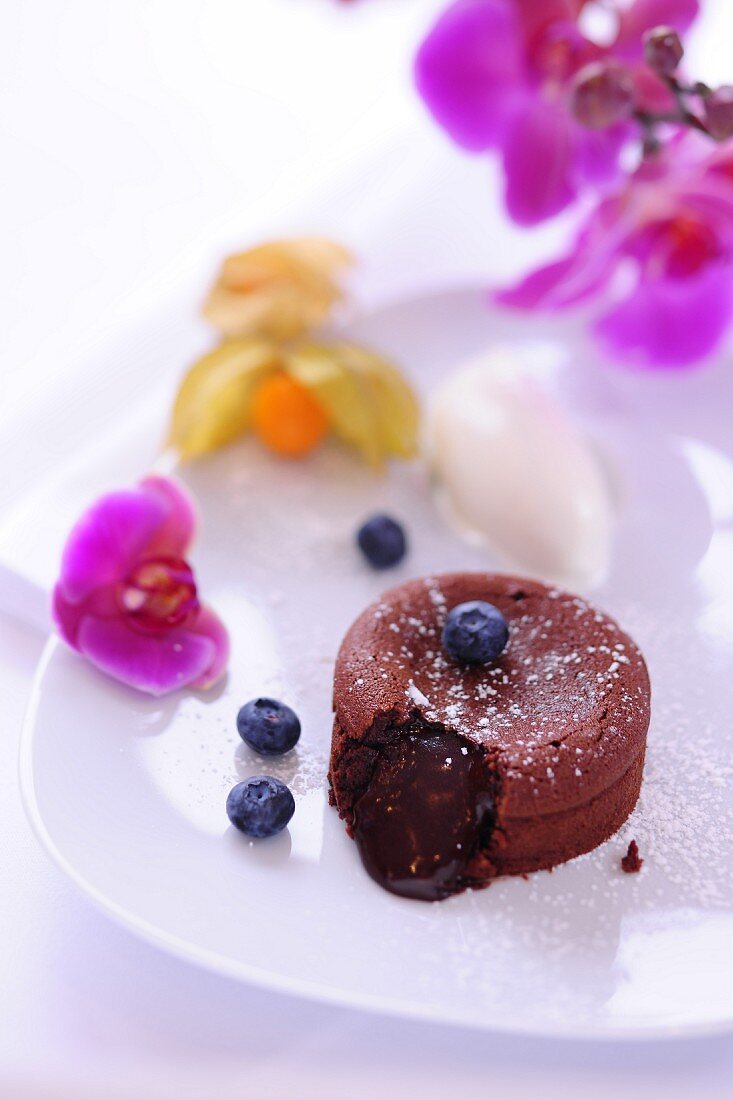 Mini chocolate cake filled with chocolate sauce, blueberries