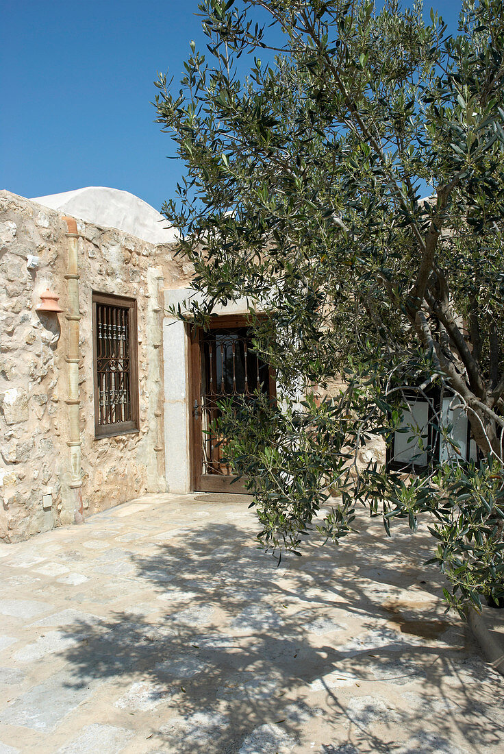 Stone house with olive tree in courtyard (Tunisia)