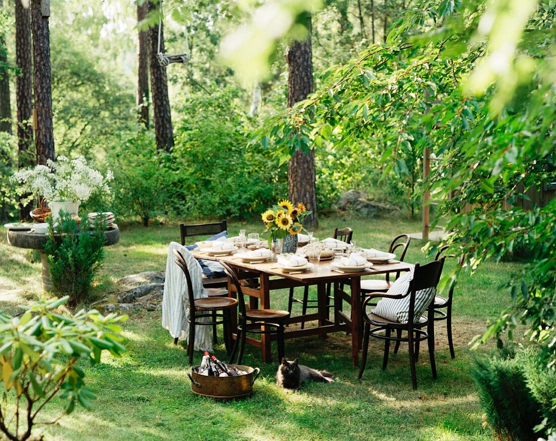 A table laid in a garden