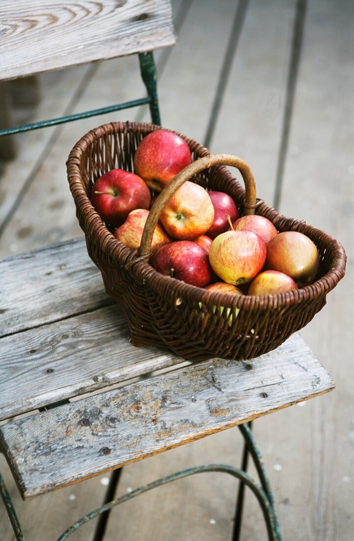 A basket of fresh apples on a garden chair