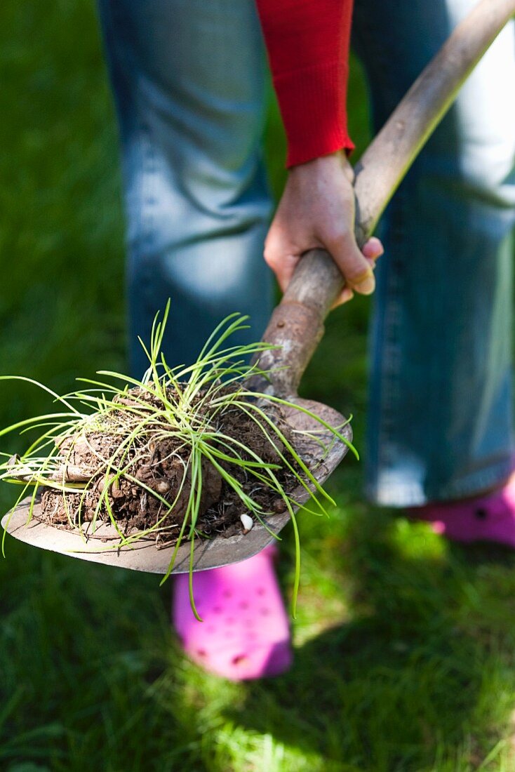 Frau mit Gartenschaufel