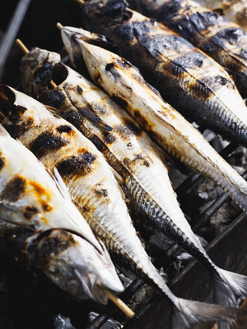 Grilled mackerel on a barbecue