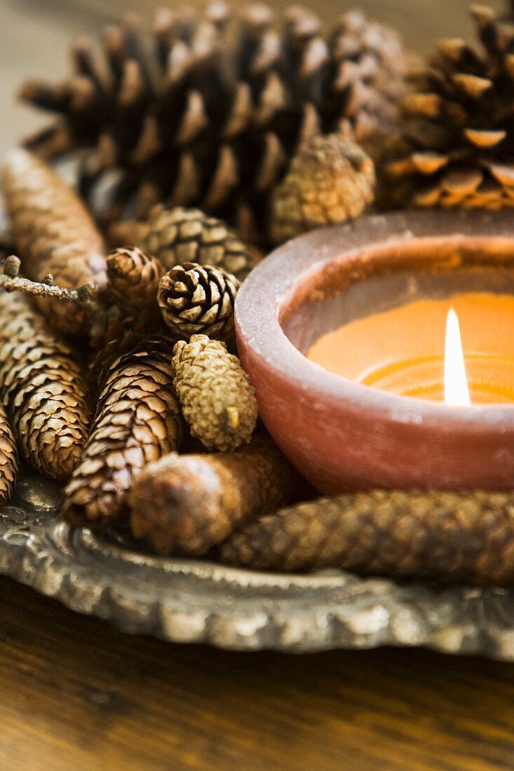 A candle and pine cones