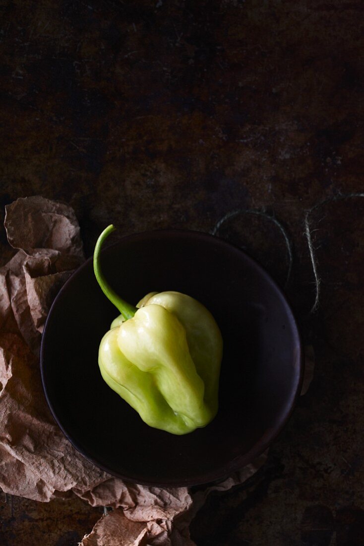 A green Habanero chilli pepper