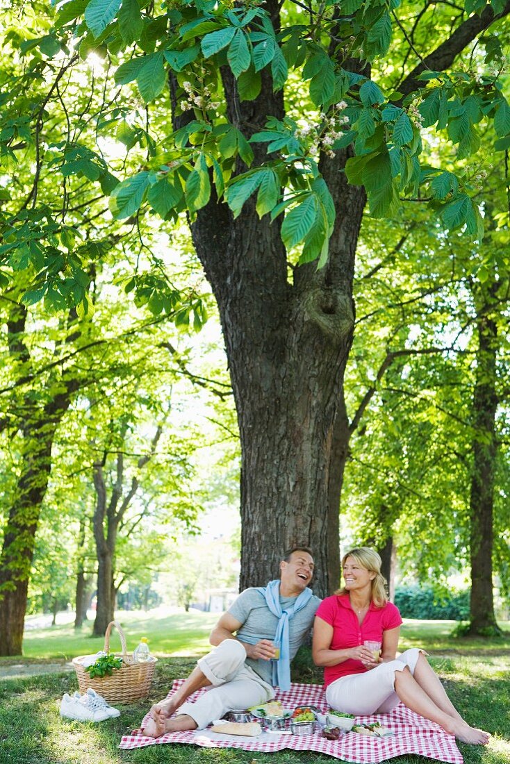 A couple having a picnic under a tree