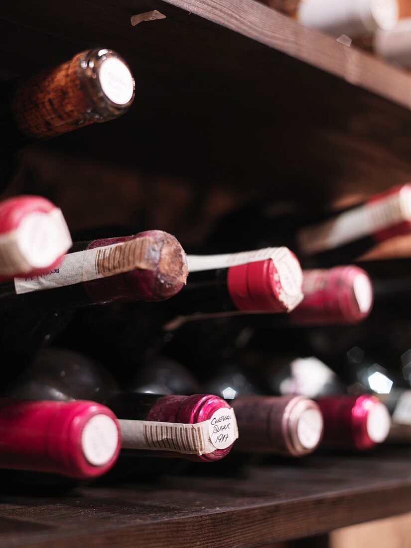 Bottles of wine in a cellar