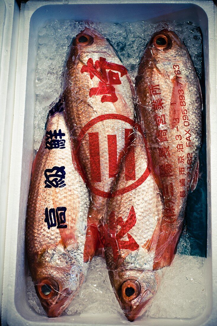 Fish on a market stall in Japan