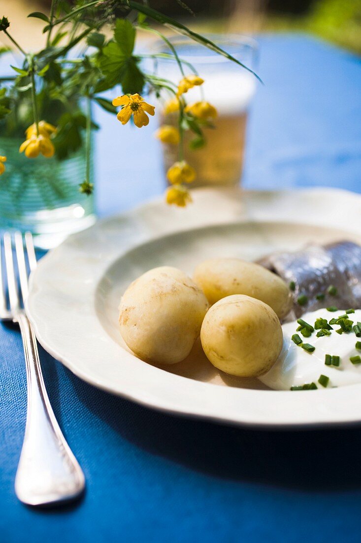 Herring with new potatoes and chive quark