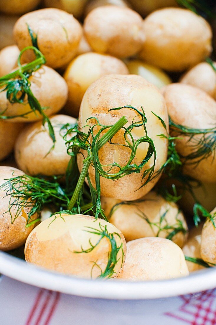 Gekochte Kartoffeln mit Dill