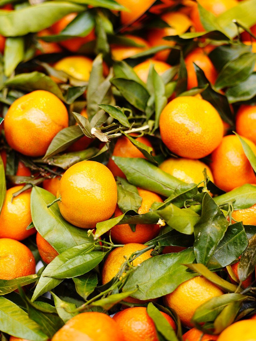 Clementines with leaves