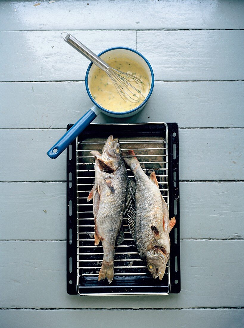 Bass on grill with hollandaise sauce