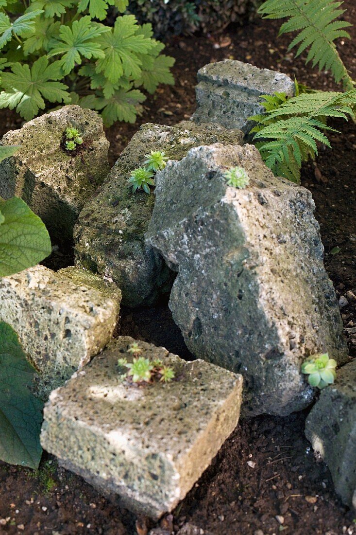 Fragments of old stone balustrade in rockery