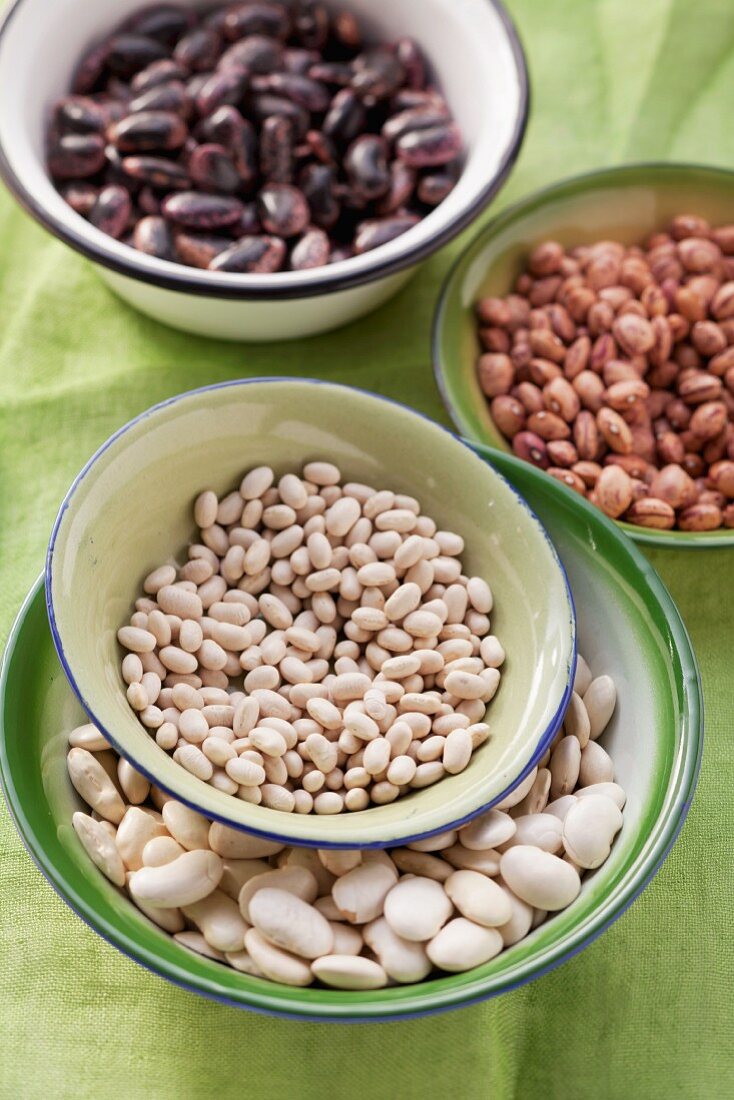 Various types of beans