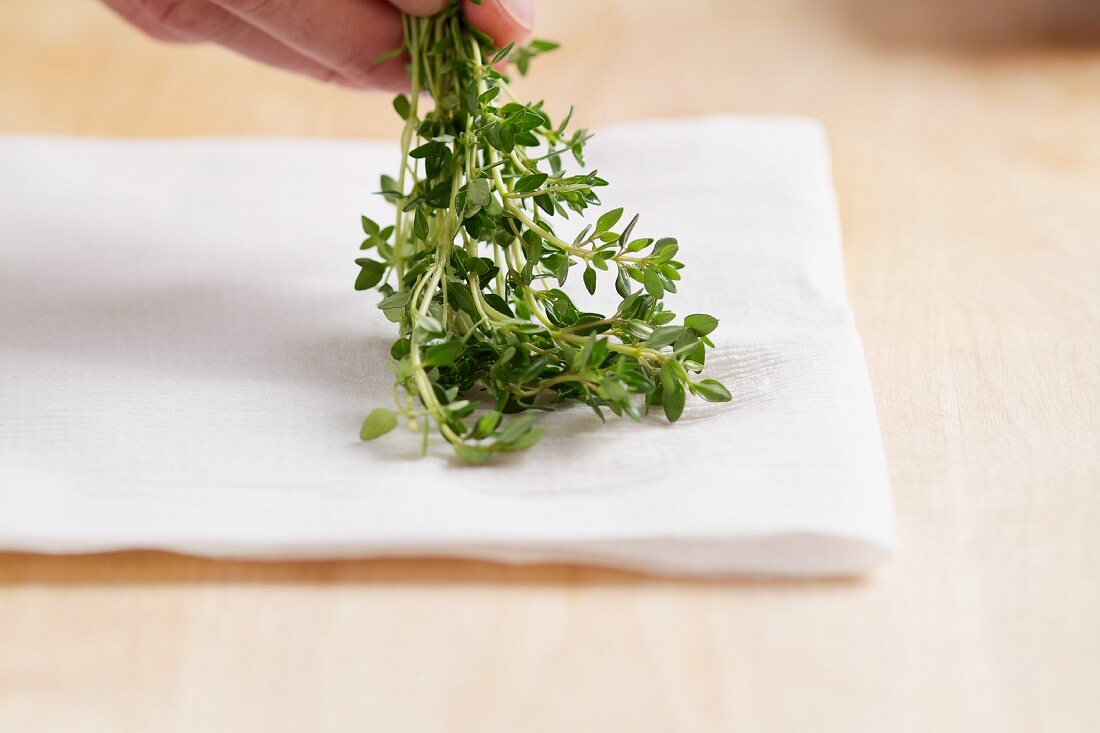 Hand holding fresh thyme