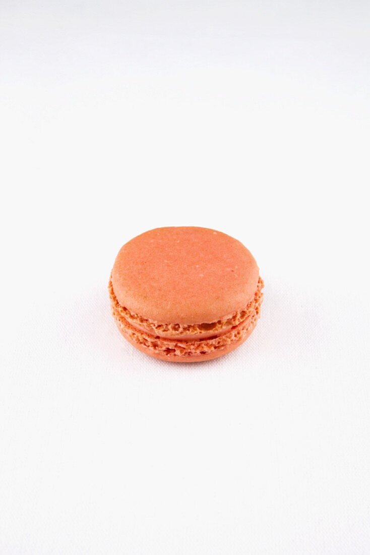 A Rose Macaroon on a White Background