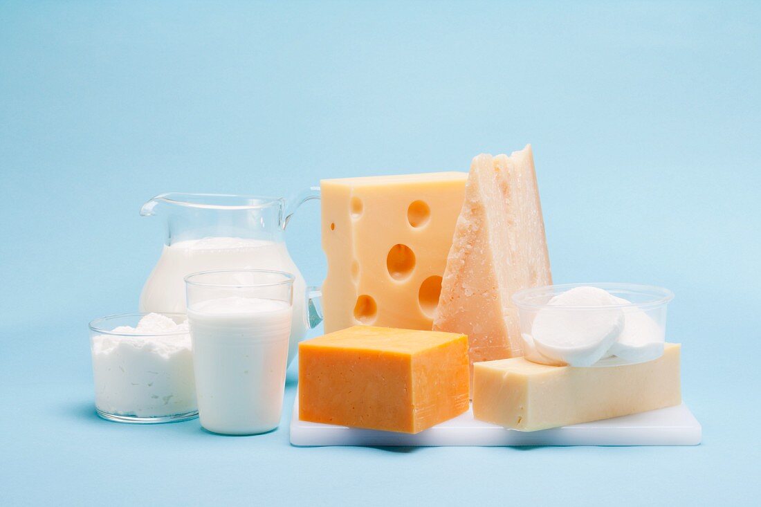 Verschiedene Milchprodukte (Käse, Joghurt, Quark, Milch) vor blauem Hintergrund