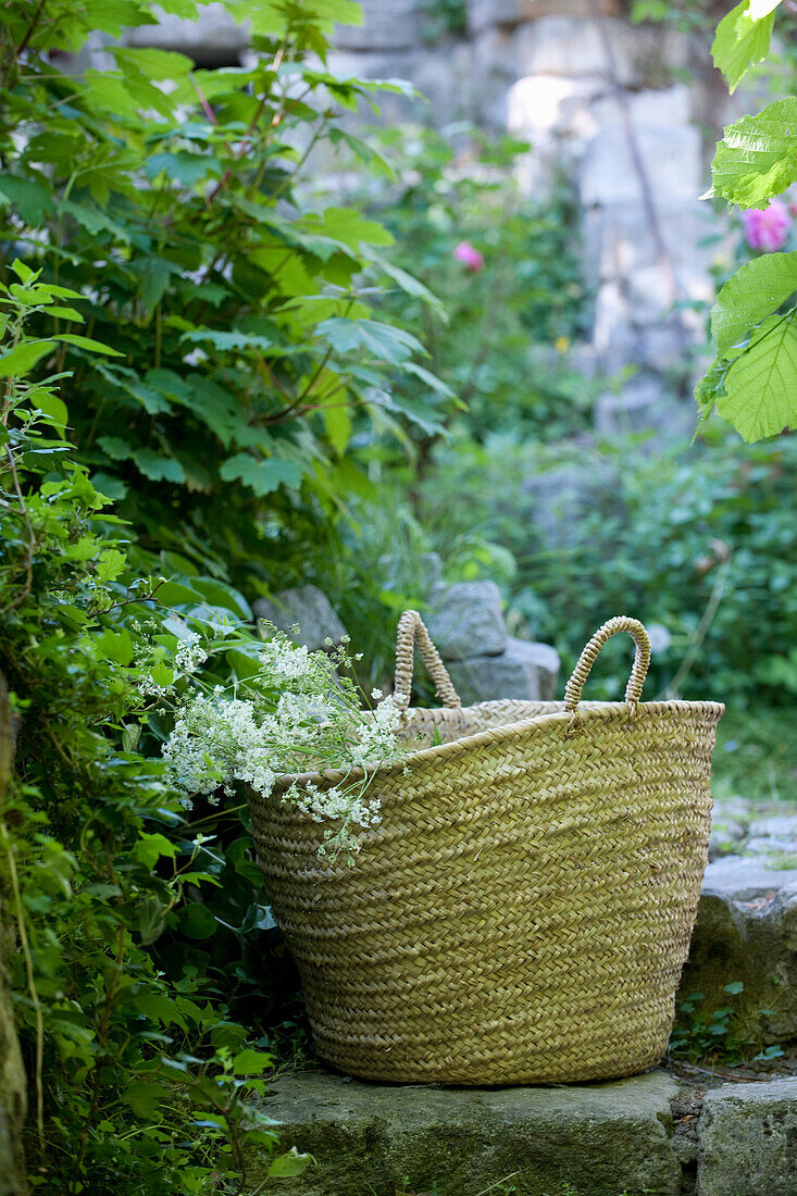 Geflochtener Korb mit Blumen im Garten