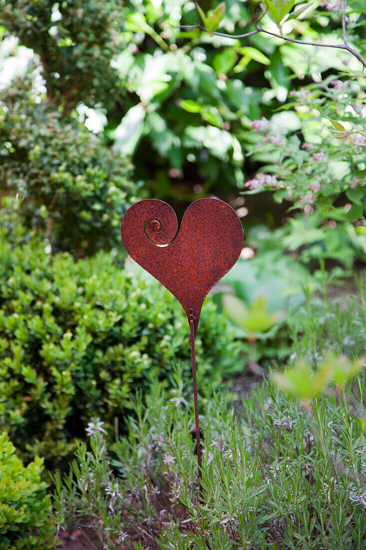 Metal heart decoration among green garden plants in summer