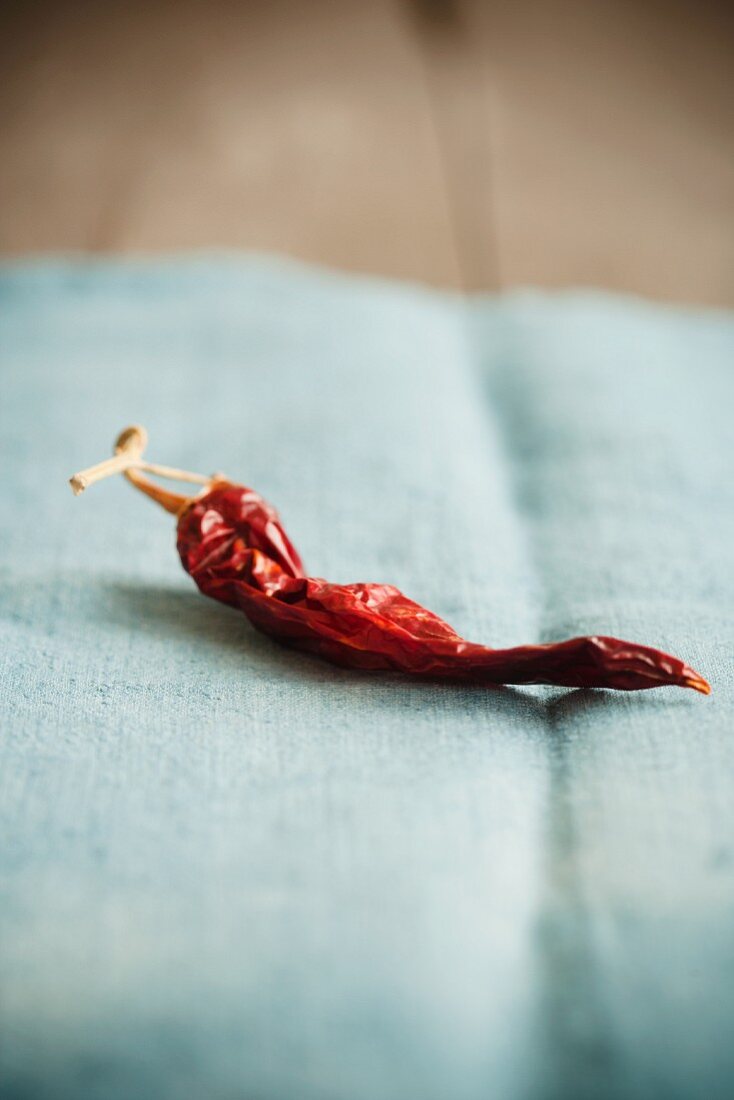 Dried Chili Pepper on Blue Cloth