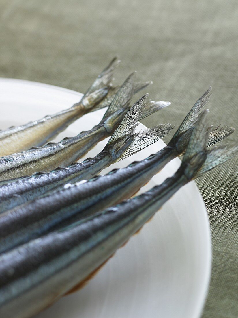 Fish Tails on a White Plate